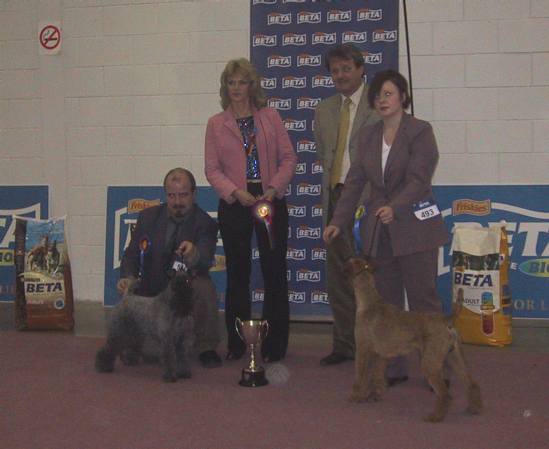 Terrier Group Cloghran Show